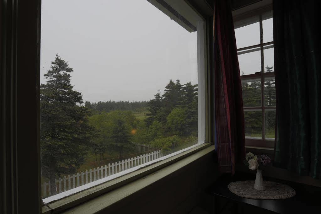 Meems Elliston B&B Dış mekan fotoğraf